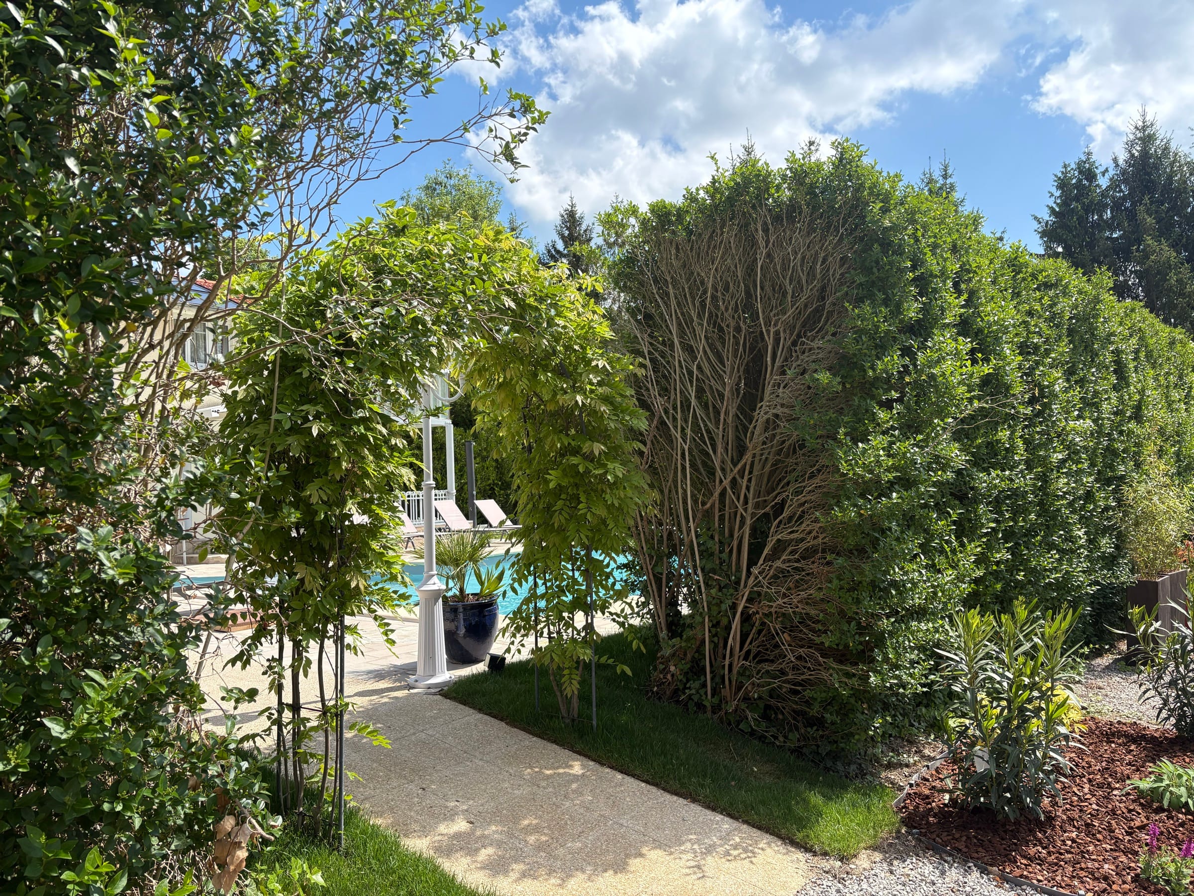Allée de glycine du parc — porte ouverte sur la région Champagne